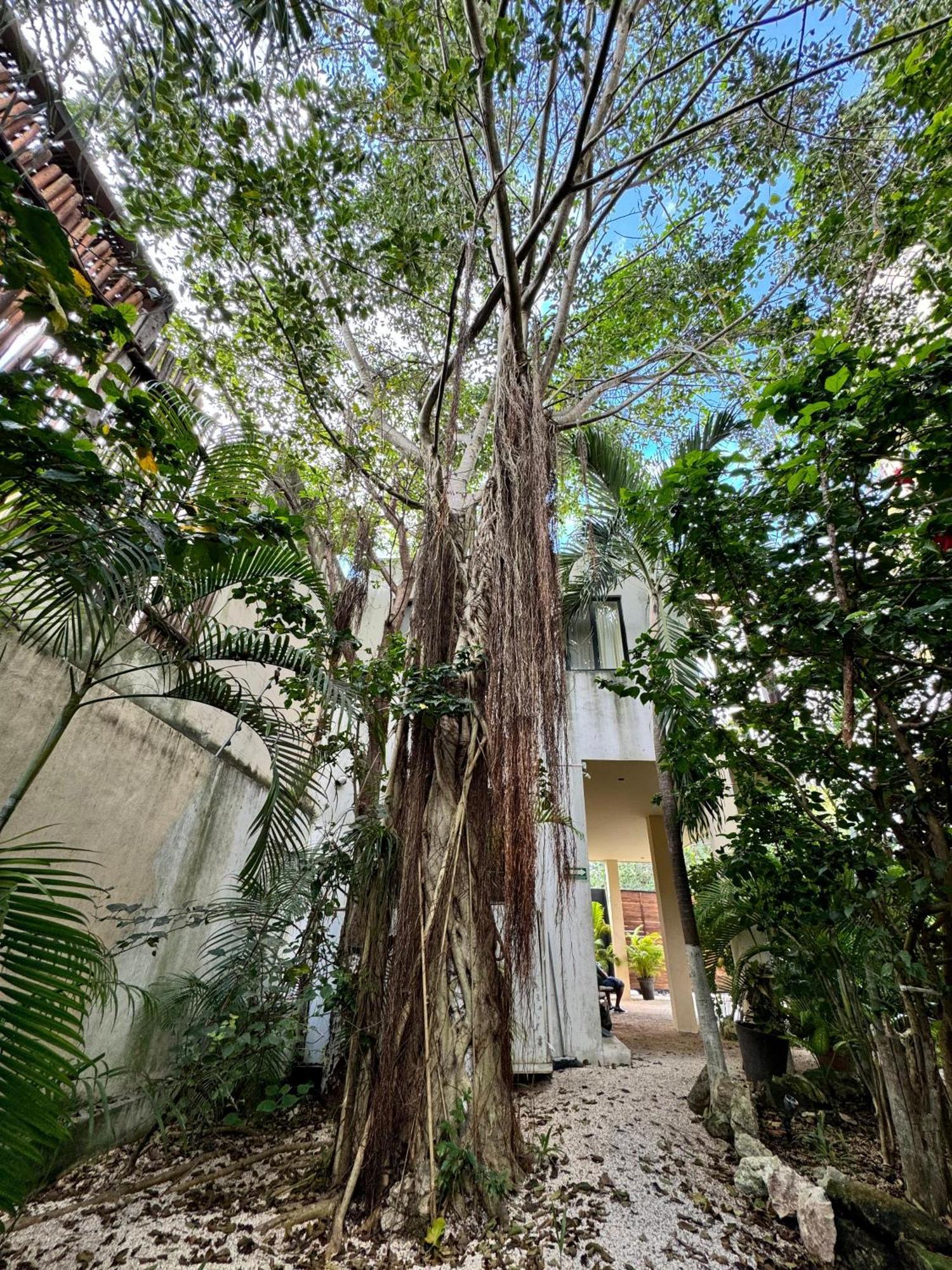 Starfit Hotel Boutique Beachclub, Spa & Gym Included Tulum Dış mekan fotoğraf